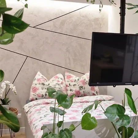 Magic House Proszowska 58 Ii Apartament *