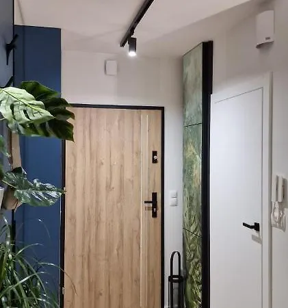 Magic House Proszowska 58 Ii