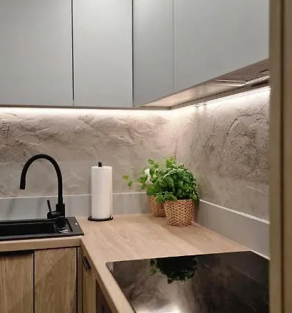 Apartament Magic House Proszowska 58 Ii *