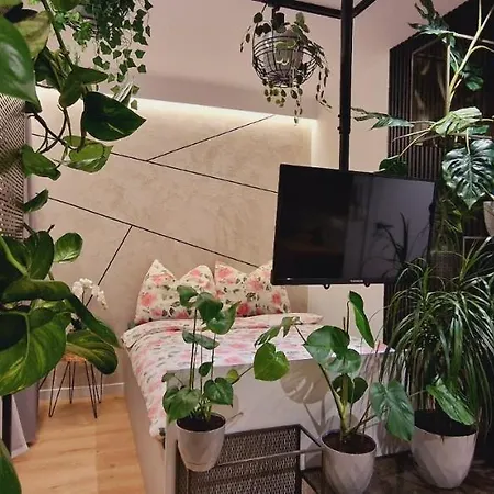 Magic House Proszowska 58 Ii Apartament