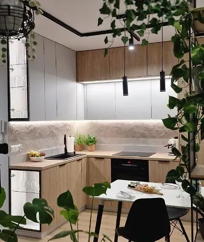 Appartement Magic House Proszowska 58 Ii