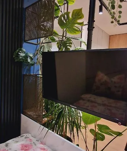 Appartement Magic House Proszowska 58 Ii Bochnia