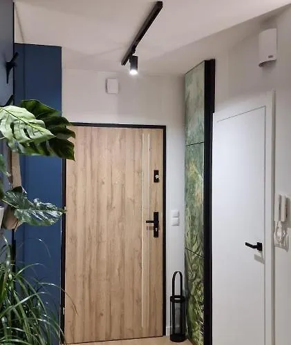 Magic House Proszowska 58 Ii