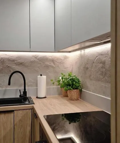 Appartement Magic House Proszowska 58 Ii *