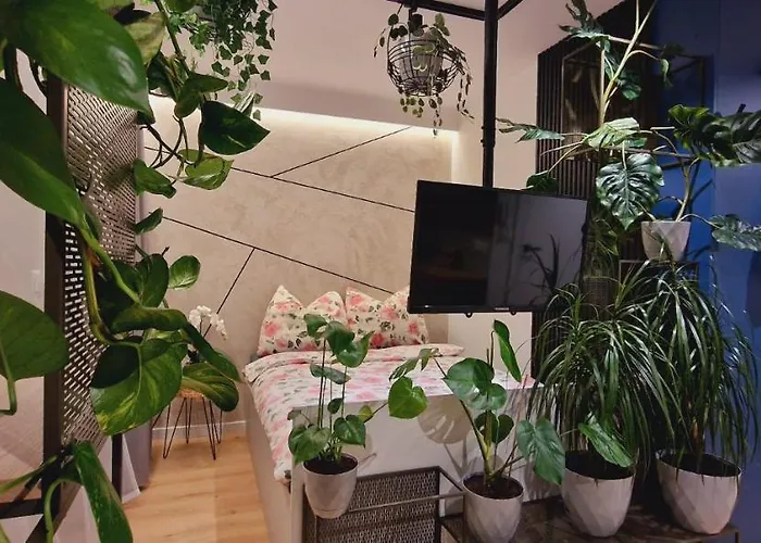 Magic House Proszowska 58 Ii Appartement